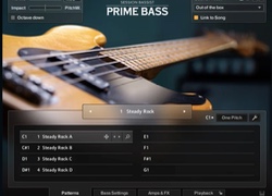 Native Instruments Session Bassist - Prime Bass (Full License)